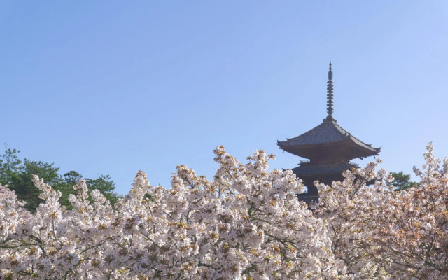 Tokyu Stay Kyoto Sakaiza Shijo-Kawaramachi