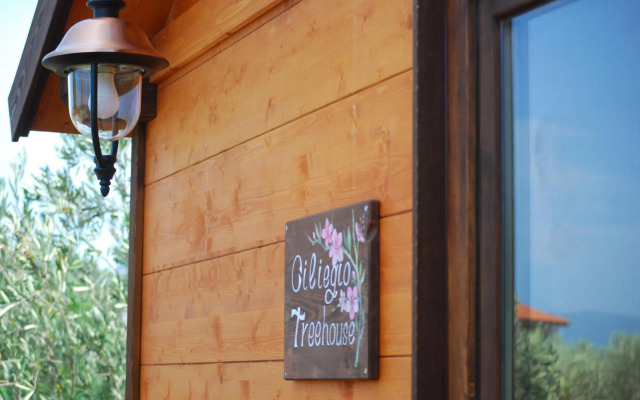 Palazzo Conforti Tree House Resort