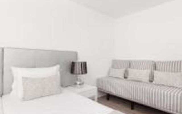 Pico Dreams - Sportfish