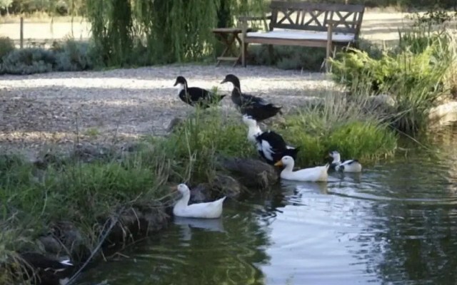 La Casona de Valfrío