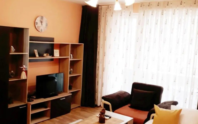 Sunflower Apartment City Center