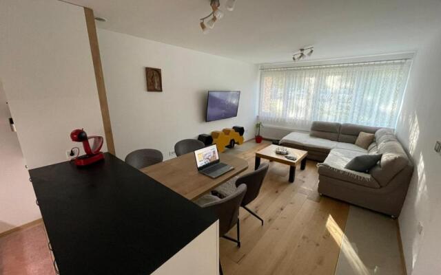 Delux apartment ARSO