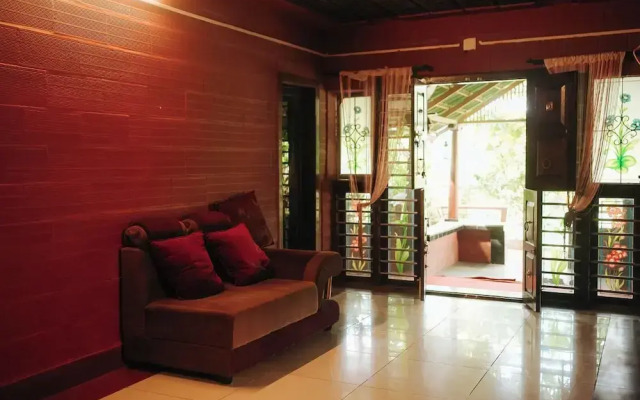 Misty Night Jungle Side Resort