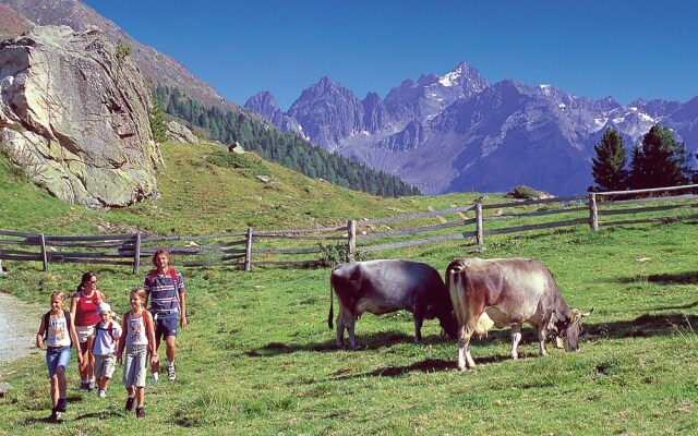 Plush Holiday Home in Pfunds With Sauna