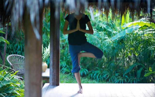 Planta Luxury Boutique Resort