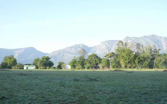 Wild Tusker Masinagudi by LexStays