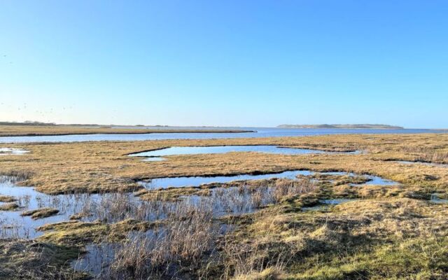 "Gregor" - 300m from the sea in Sealand