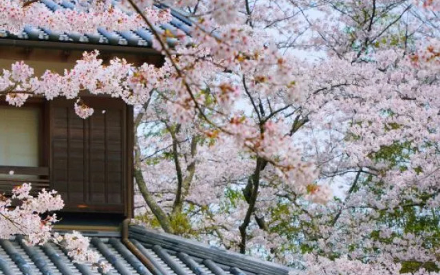 Oukai Villa Izumi