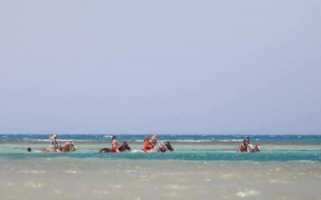 Selena Bay Spa&Resort