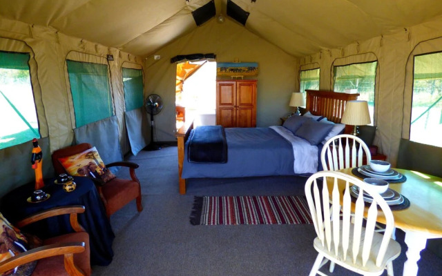 Thorn Tree Bush Camp