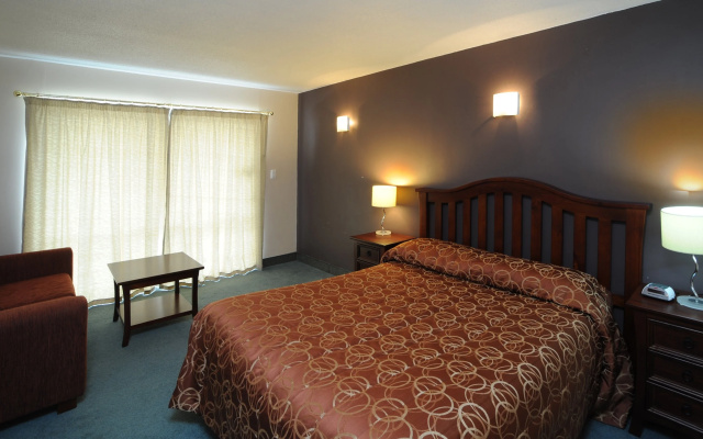 Ascot Epsom Motel – Guest Rooms – Auckland