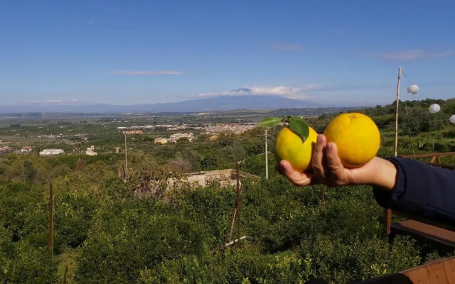 La Terrazza di Cirico'