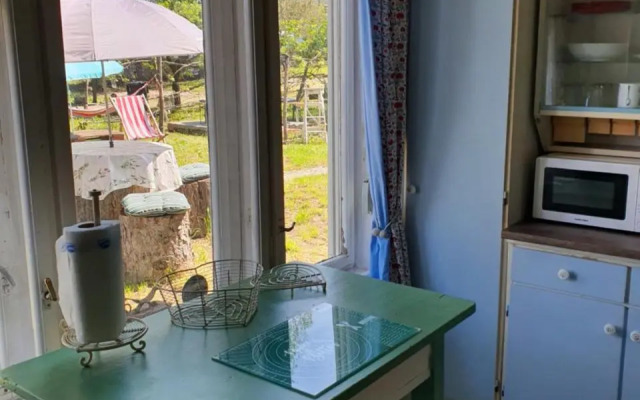 Hungarian Country Camping - Tranquil Pines Camping and Caravan Site