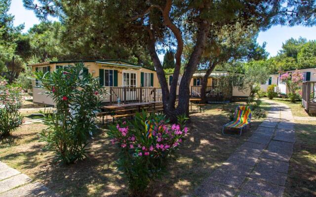 Arena Stupice Camping Homes