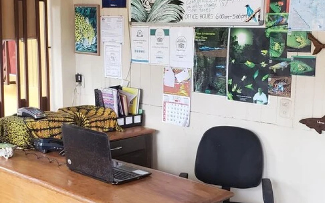 Cabinas Pura Vida Bed & Breakfast