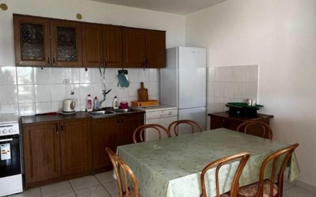 Dalibor - 5m From the sea With Parking - A7