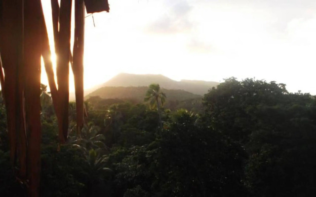 Tanna Lava View Bungalows