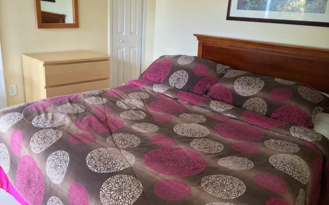 Hollywood Beach Flamingo