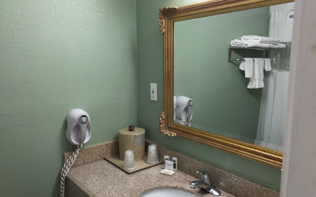 Vista Inn & Suites -Downtown- Memphis