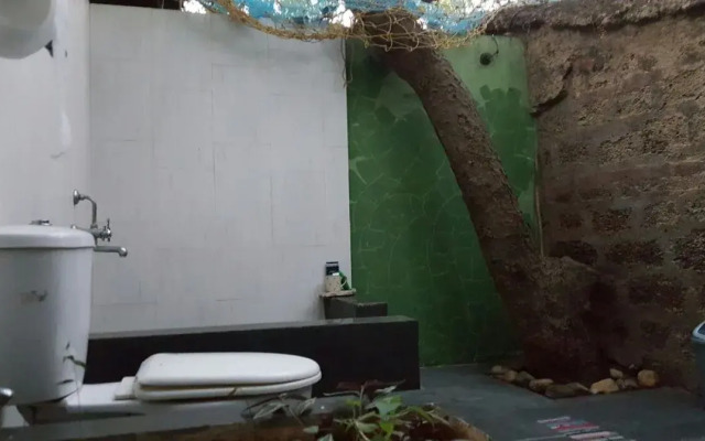Chikoo House