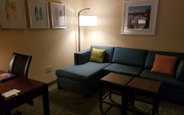 SpringHill Suites Gainesville