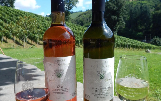 Wein Lodge Durbach - Schlossblick