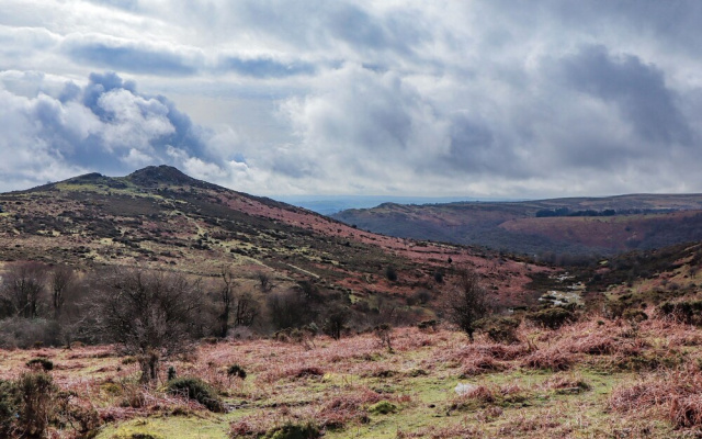 Pebble & Pine at Harcombe House