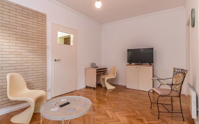Two Bedroom Parensov Central Apartment
