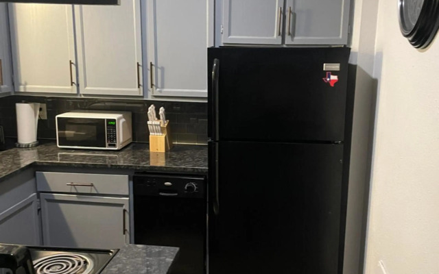 Luxurious Apartment in Katy