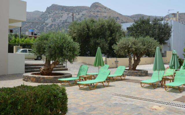 Olive Grove Apartments