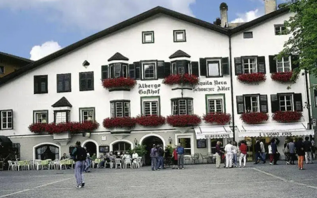Schwarzer Adler Aquila Nera