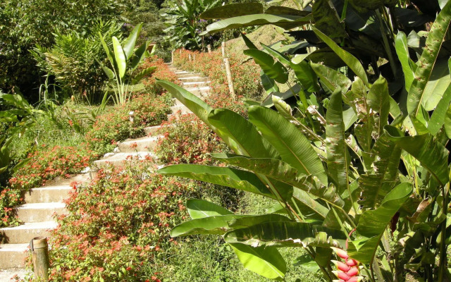 Las Terrazas De Dana Boutique Lodge
