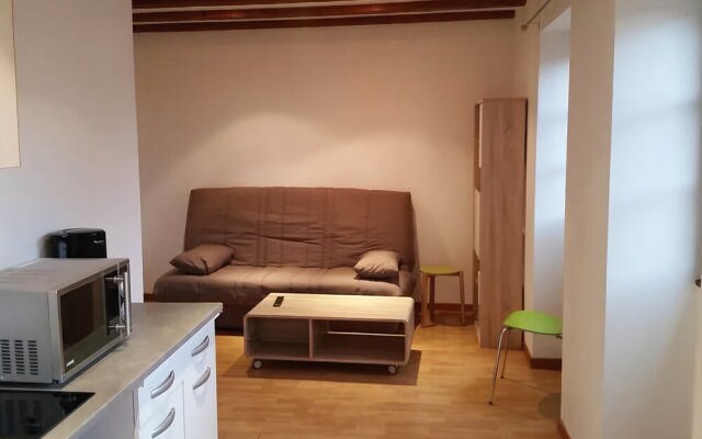 Appartement Les Tanneurs Colmar Le Green