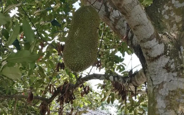 Village 218 Guest House