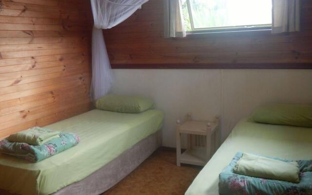 On The Wallaby Eco Lodge - Hostel