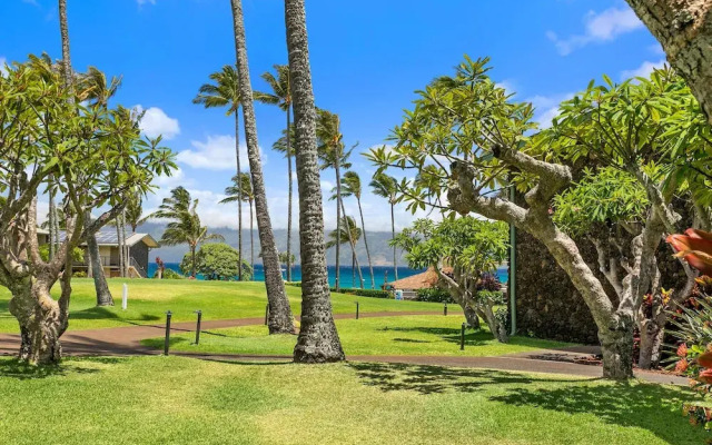 Napili Shores C116