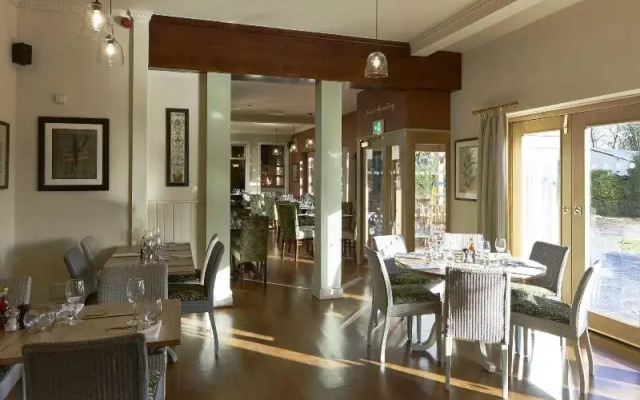 The Golden Pheasant