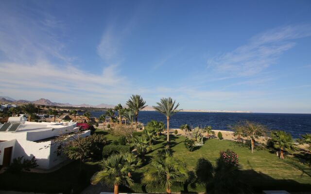 Sharm Club Beach Resort