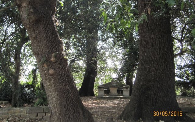 Villa Teseo