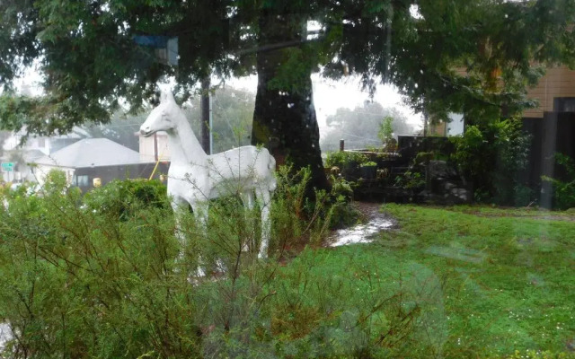 Cliff Crest Bed & Breakfast