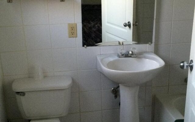 Raccoon Lodge