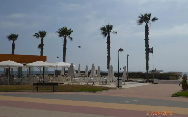 Higuericas Costa 211