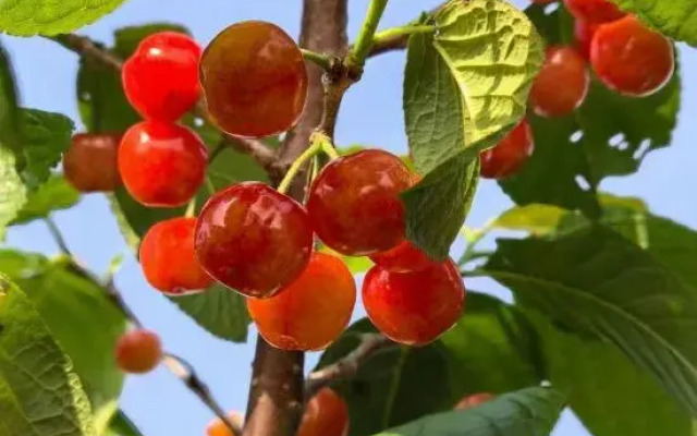 Shanghai Lazy Tiger Tribe B&B