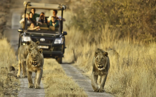 Morokolo Safari Lodge