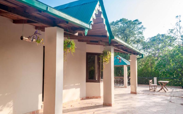 The Camphor Tree - Pura Stays