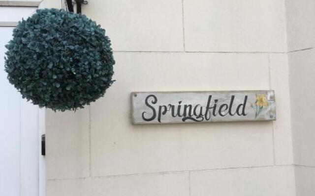 B & B Springfield