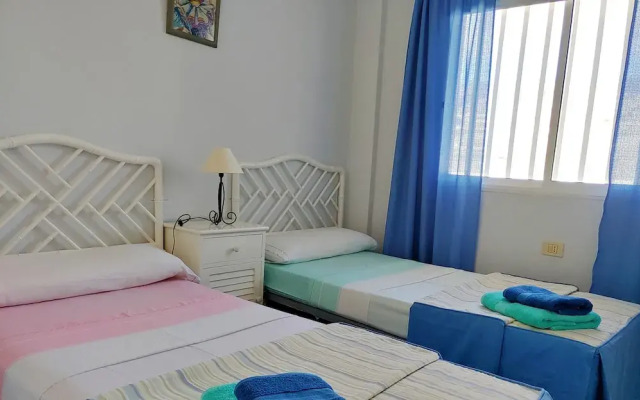 Arena Terrace Apartment