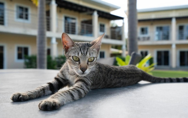 Malinawon Resort