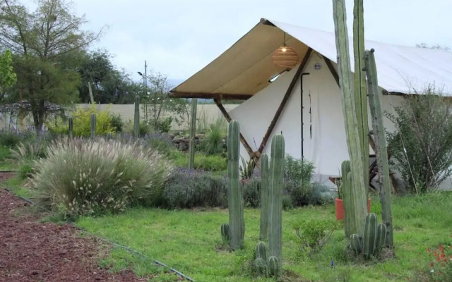 Salterra Glamping