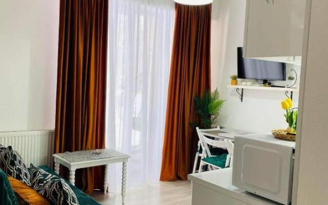 bakuriani didveli apartment